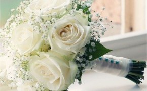 Stephen & Anju LittleBay教堂婚礼